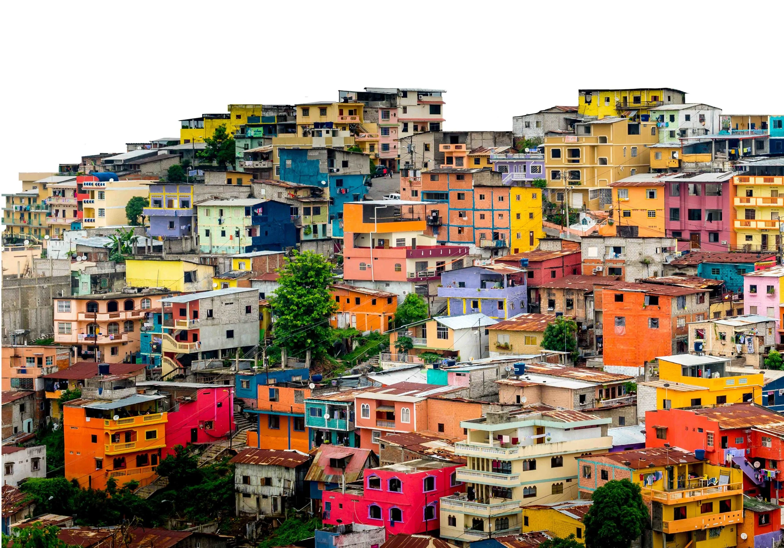 All the Colors of the World