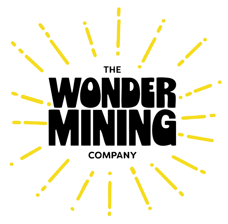 THE WONDER MINING COMPANY