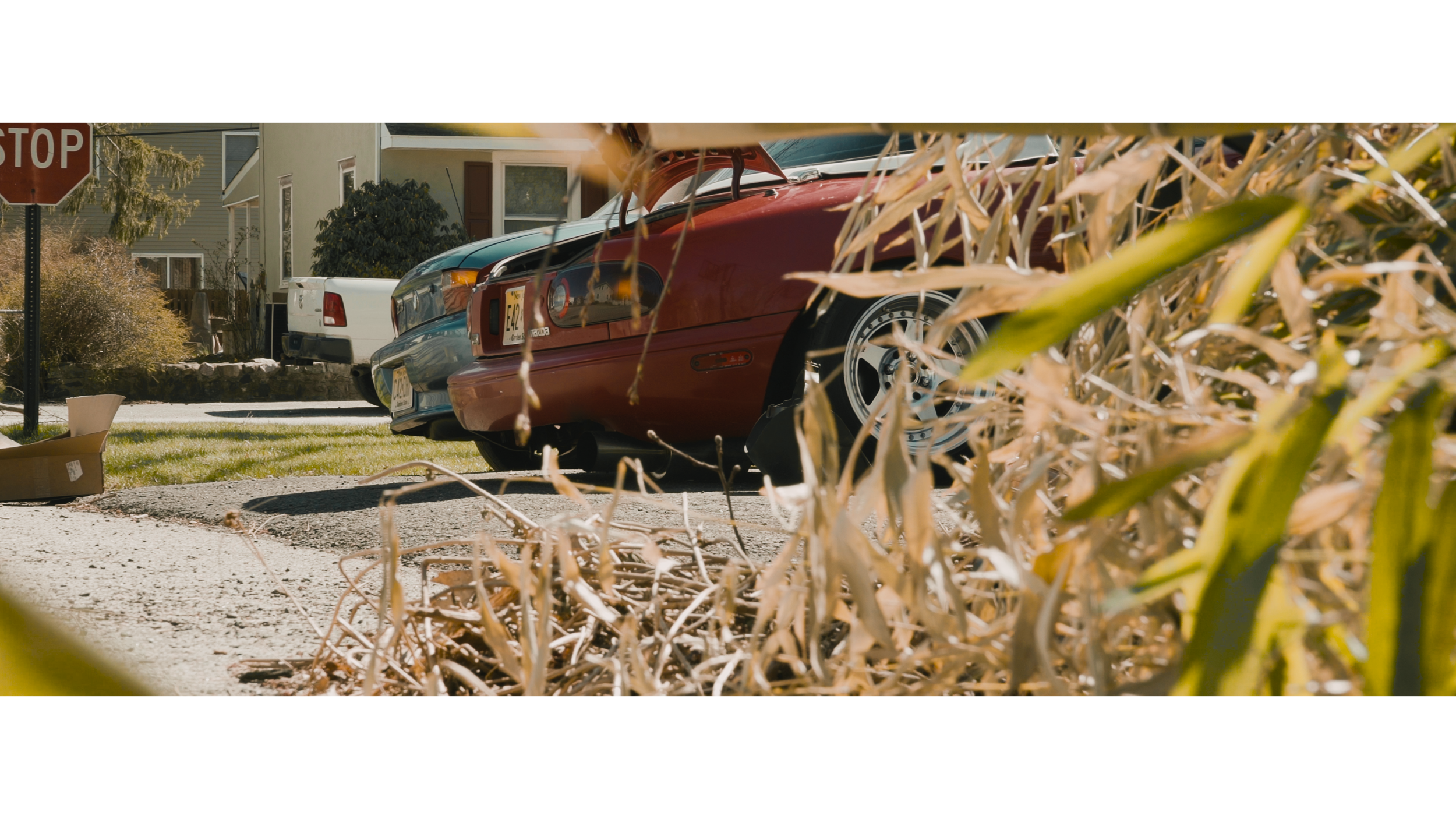 OMG MAN Copy 01.00_02_51_22.Still014.png