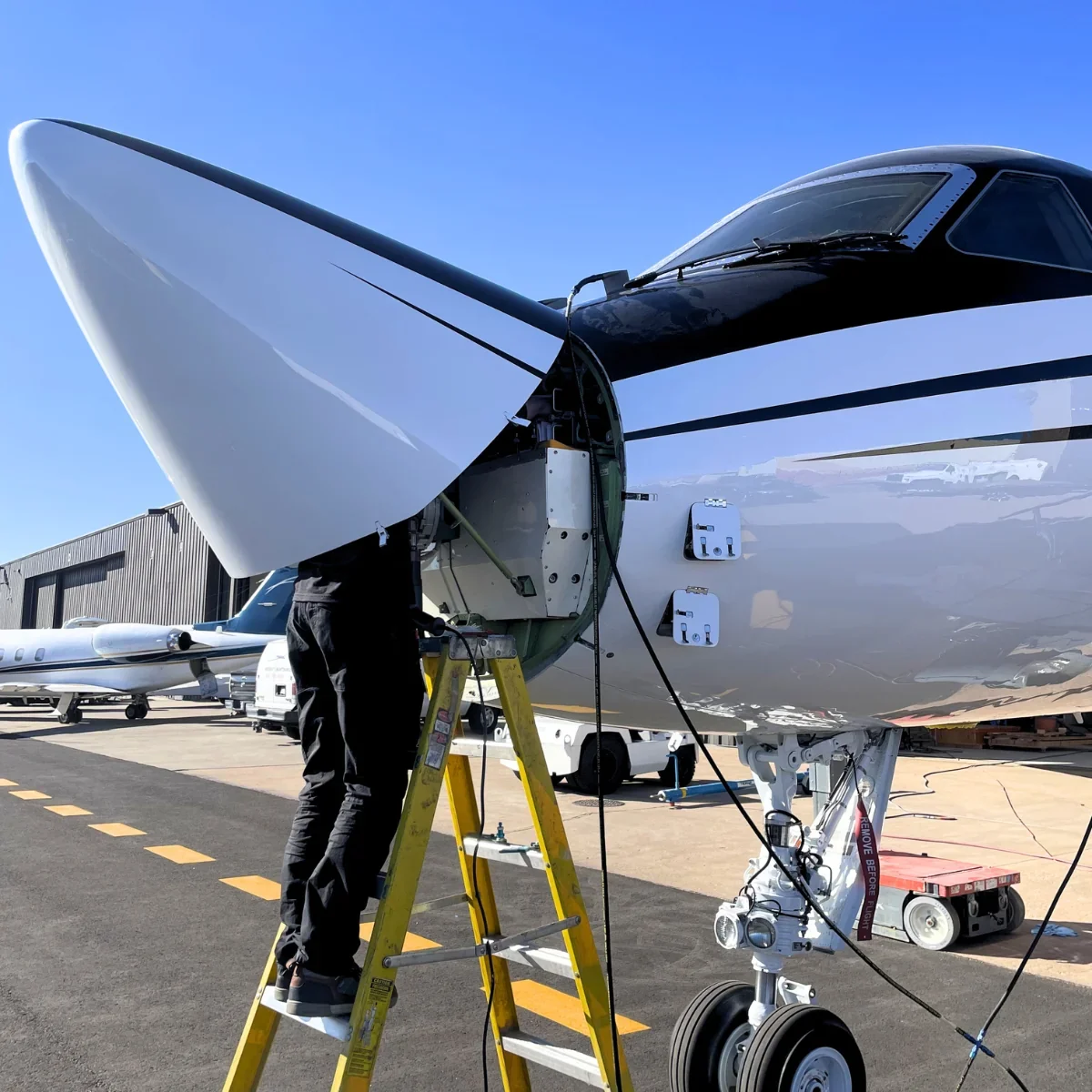 Haggan_Gulfstream_Check.webp