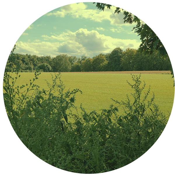 Life Hacks for How to Remove Pesky Household Stains — Clean Club Calgary