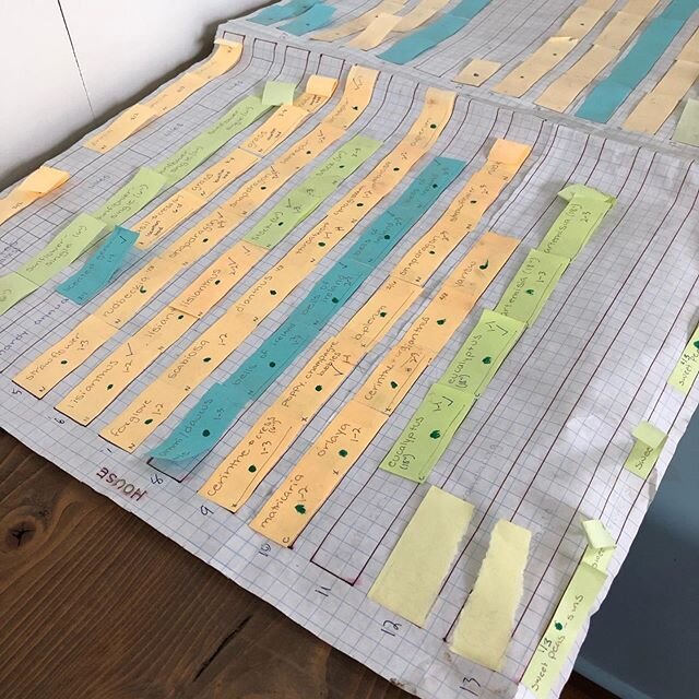 Last year&rsquo;s field map vs. this year&rsquo;s field map. 🤩

Every year we get to improve on the year before and I think our wet-erase field map might be the best improvement yet!

I&rsquo;m a sucker for organization and color coding. Plus, no mo