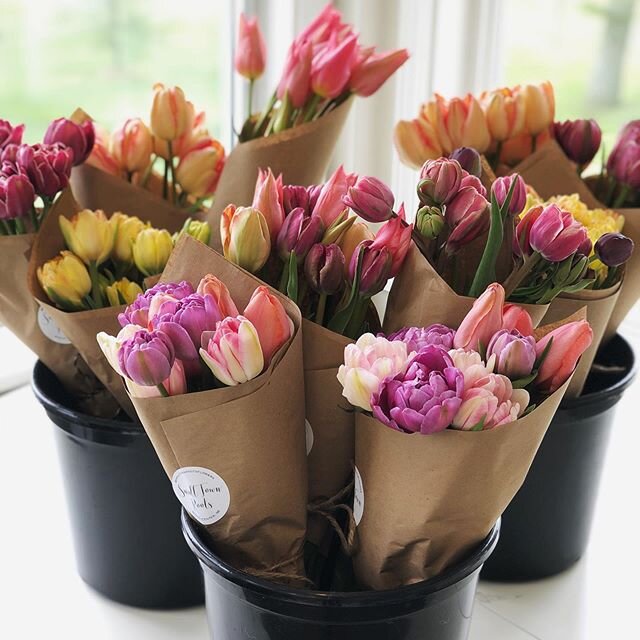 Mother&rsquo;s Day Tulip Sale 🌷 💐 .
We&rsquo;re excited to announce that we will be selling tulip bunches from the farm on Saturday from 9-3!
.
$15/bunch or 3 for $40. We will have some larger bunches available too.
.
It will be set up as a no-cont