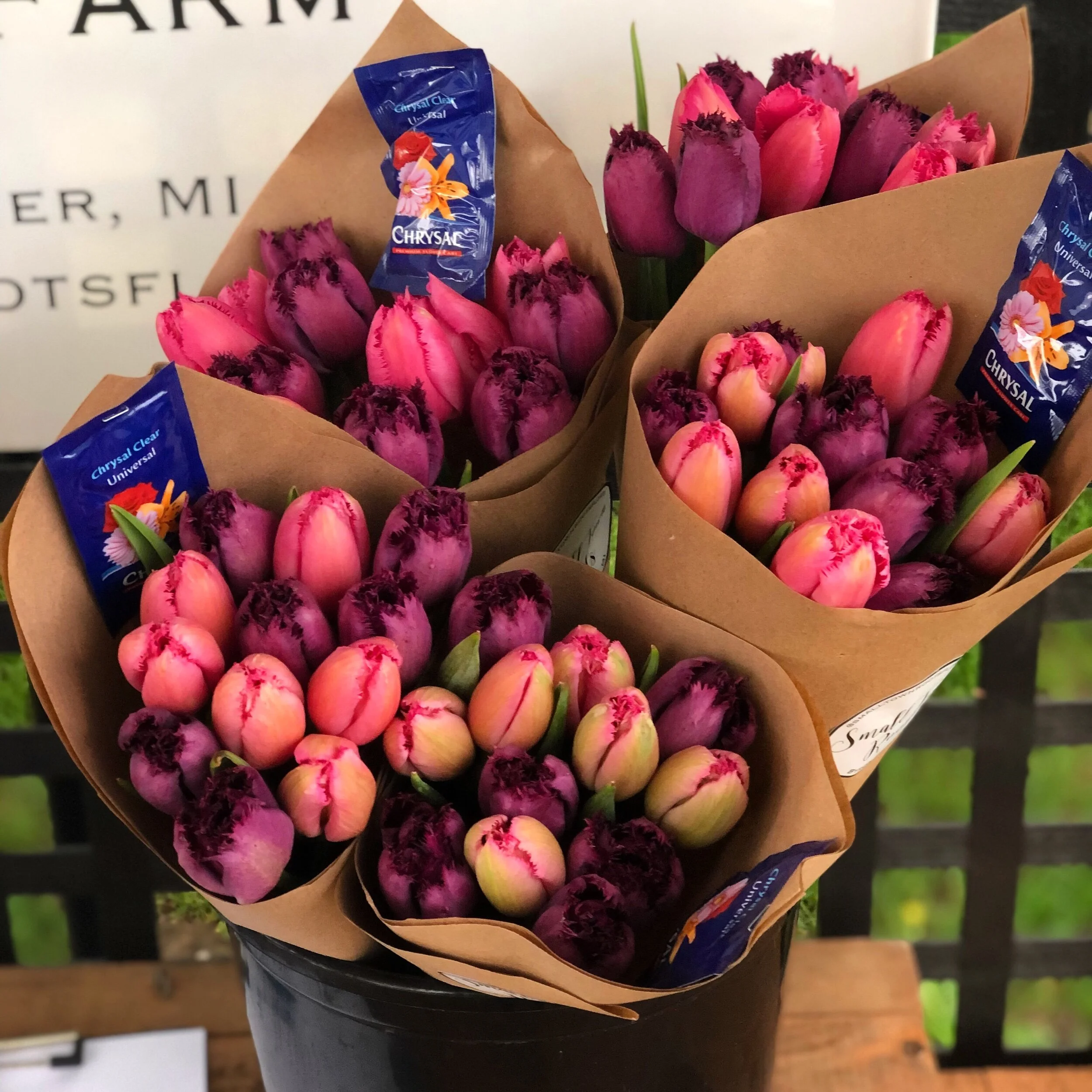 A63C1DA1-0BD1-4221-A56B-89B65BC16D87