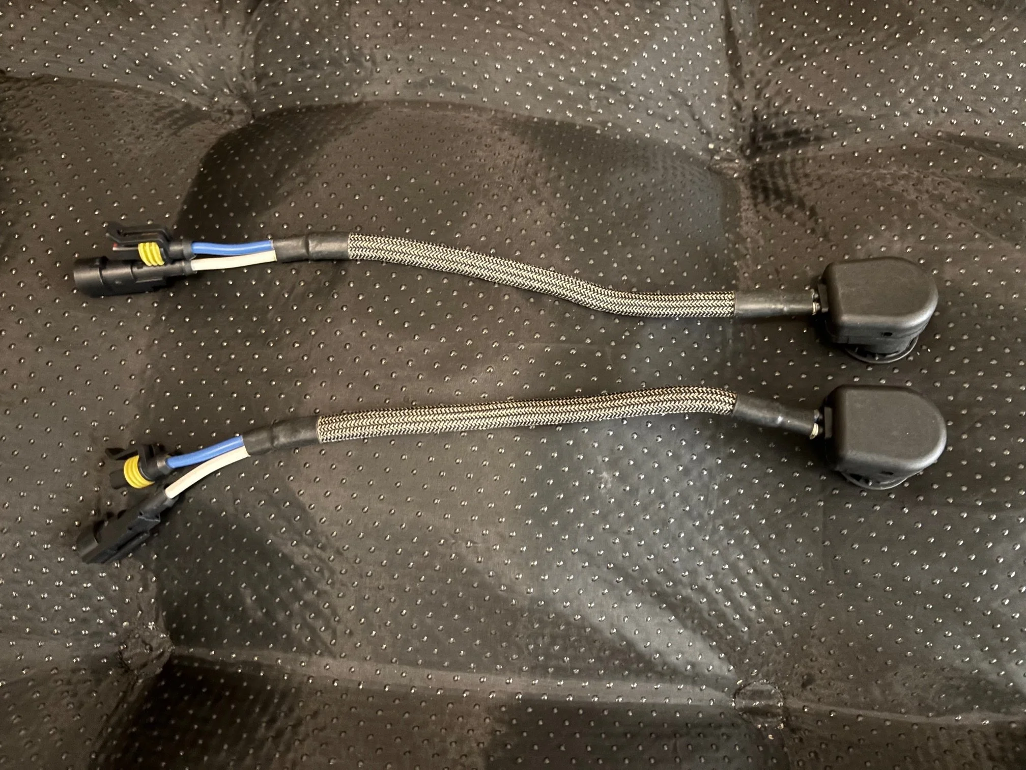 hid 4.jpg