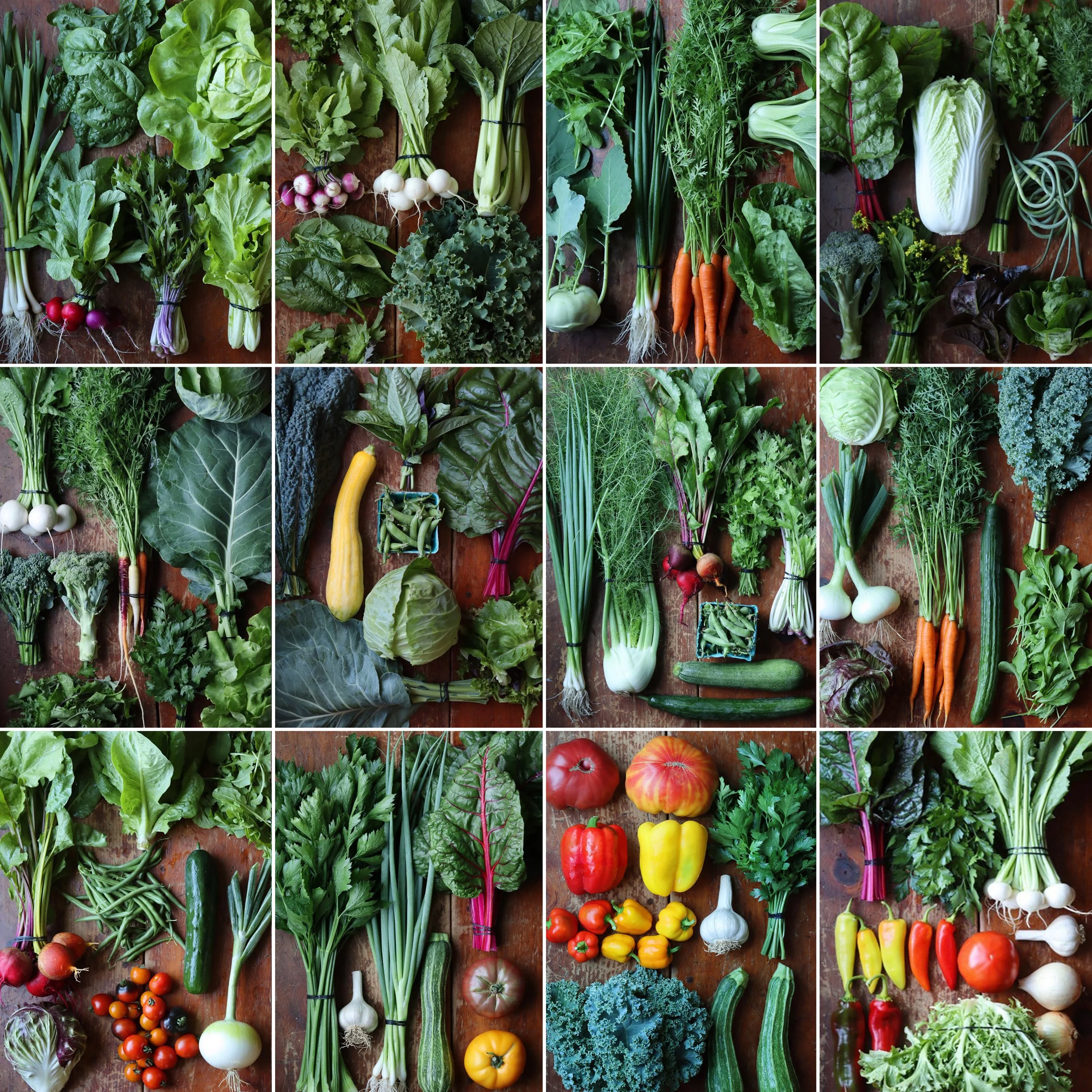 2026 Edible Uprising CSA Share