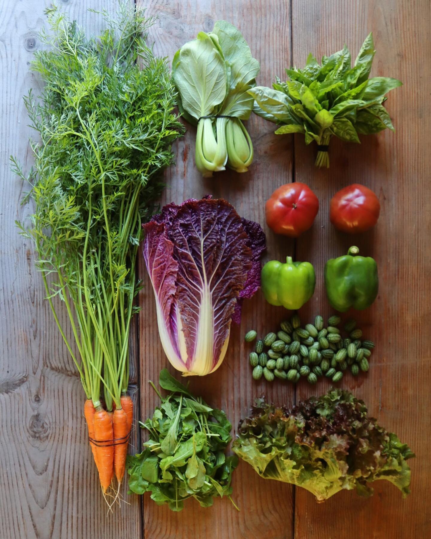 Our final box of the summer CSA has arrived! Week 18!

Here&rsquo;s a snippet of what we wrote to our CSA members in the newsletter this week: The final share of the summer CSA has arrived! For 18 weeks you have been eating the food we grow from this