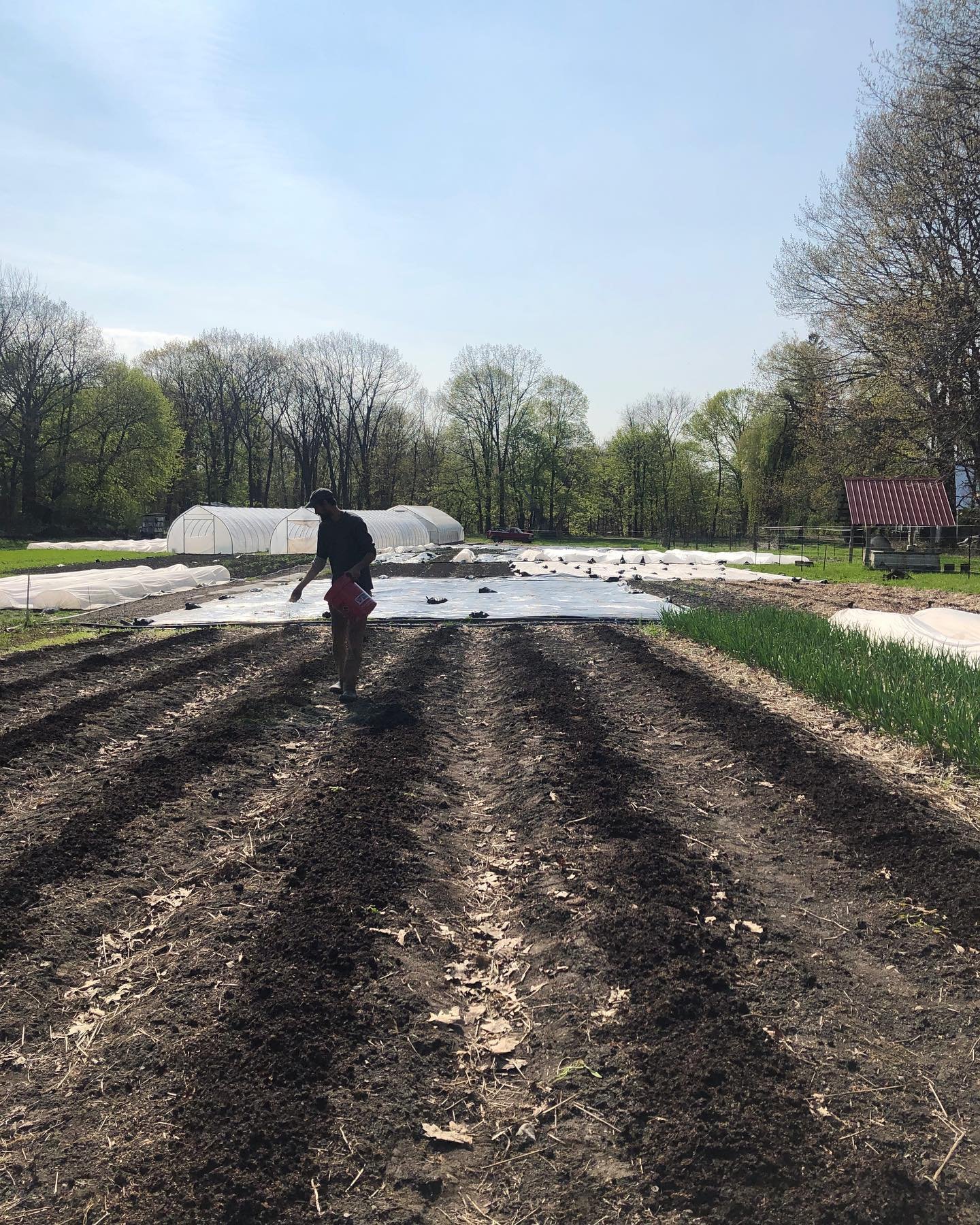 The field is rapidly filling up and gone are the cool jacket days on the farm. We&rsquo;re sweating, shoveling compost, planting, prepping beds, seeding, cultivating and trying to finish up those final aspirational early spring projects that have ine