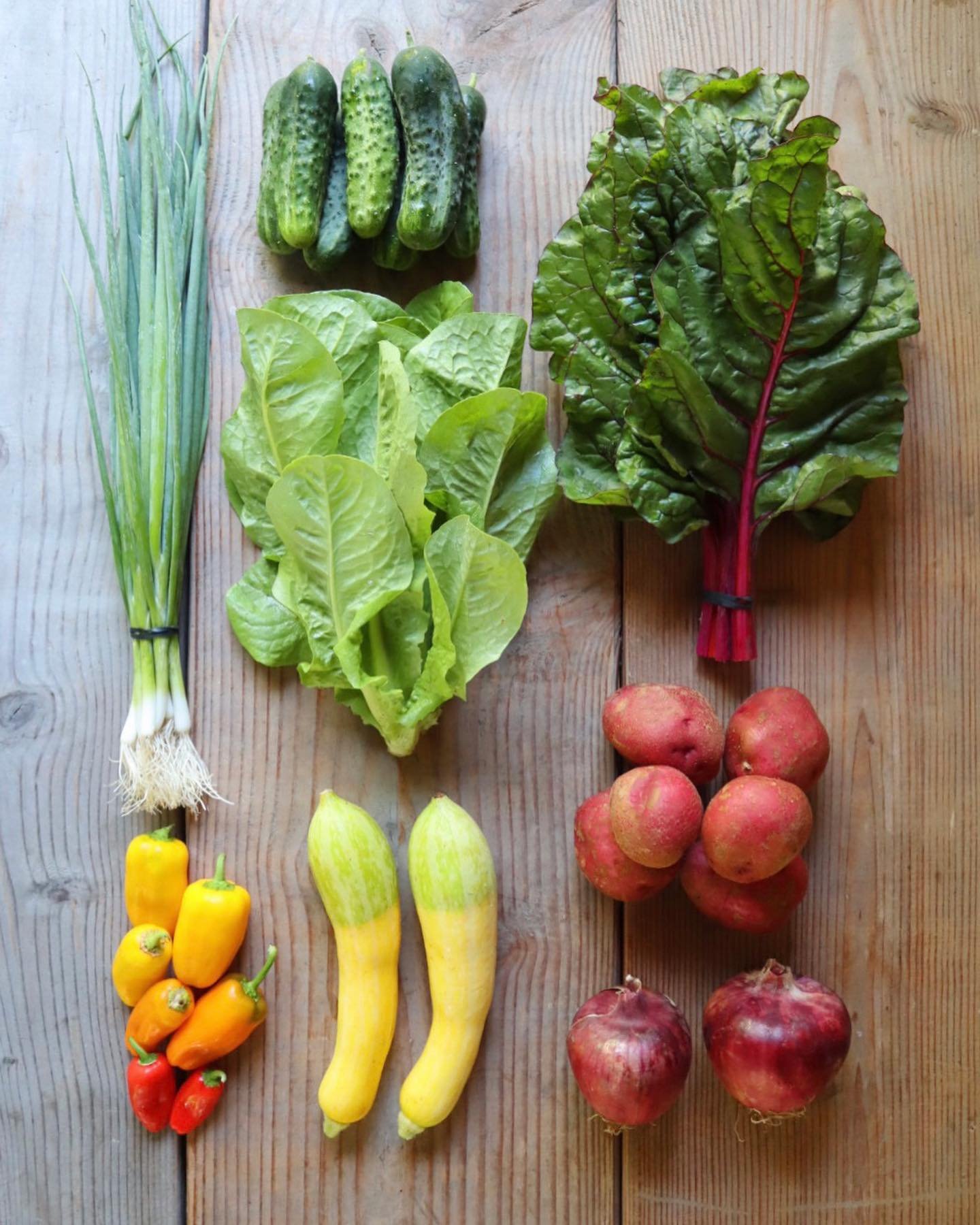 Week 16! The freebie this week is jalape&ntilde;os (not pictured). Swipe to see what we&rsquo;re harvesting for our members this week!