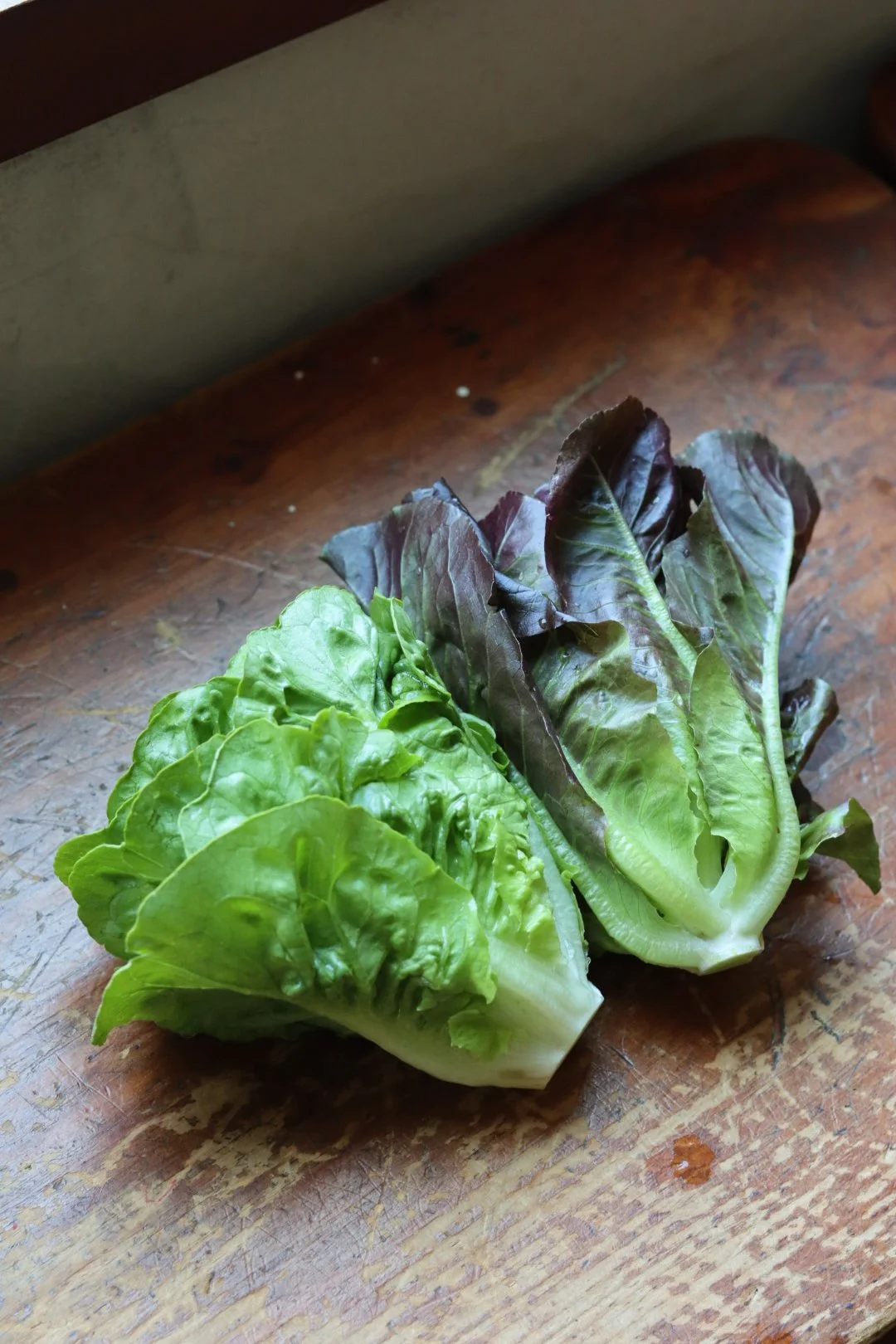Little Gem Mini Lettuce (2 head mix)
