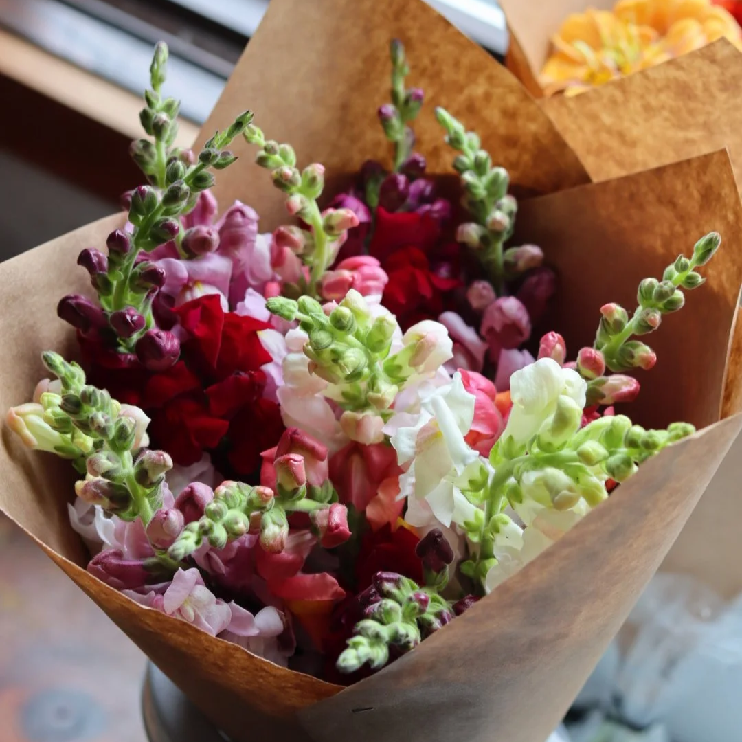 Snapdragon Bouquet