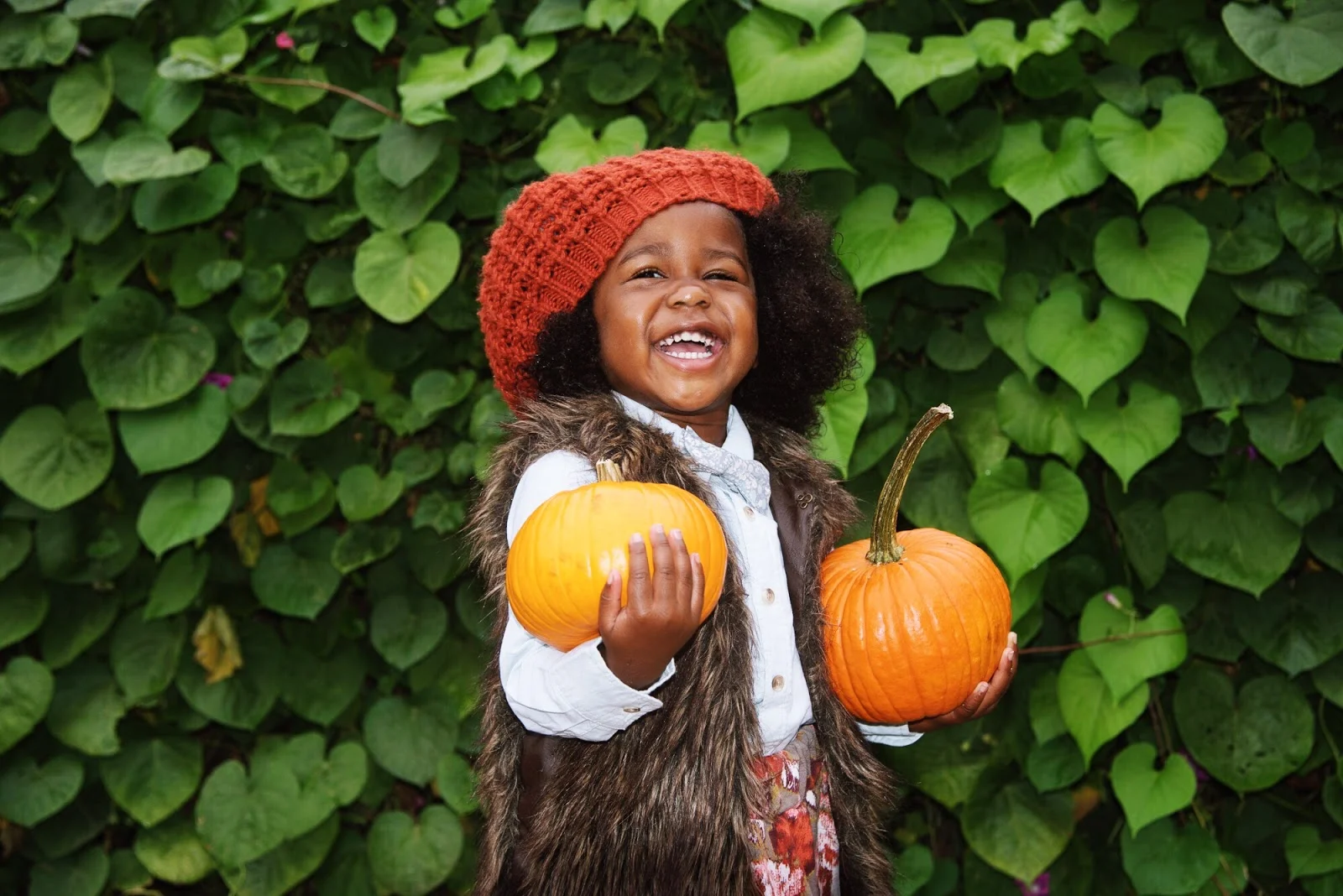 Happy National Pumpkin Day!