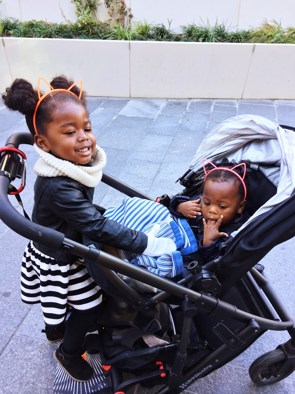 Winter Tricks and treats at Le carrousel (video)