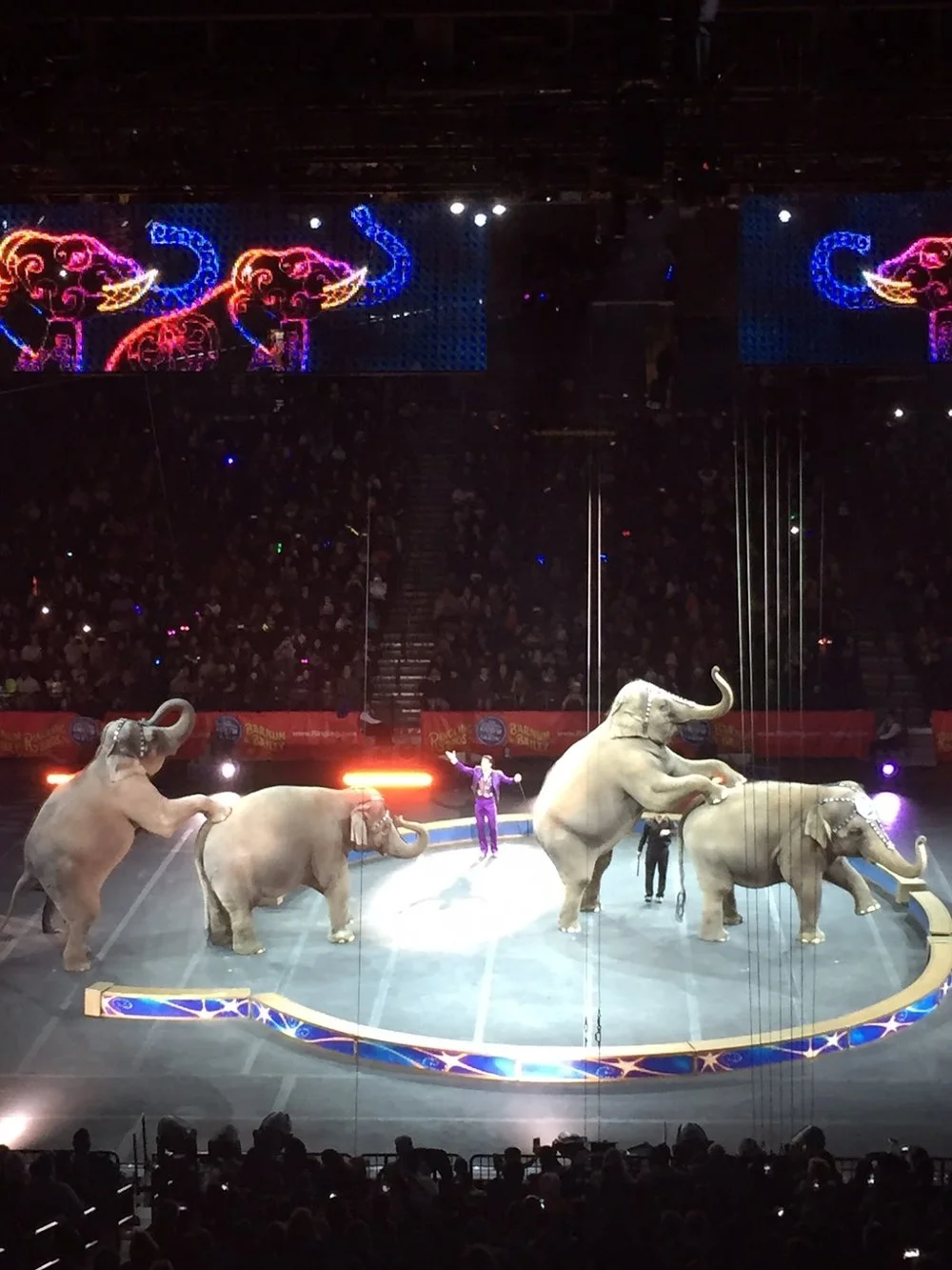 Winter at the Circus