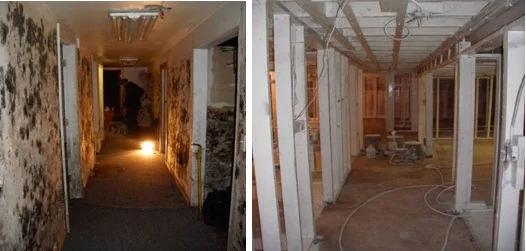 beforeAfter01.jpg