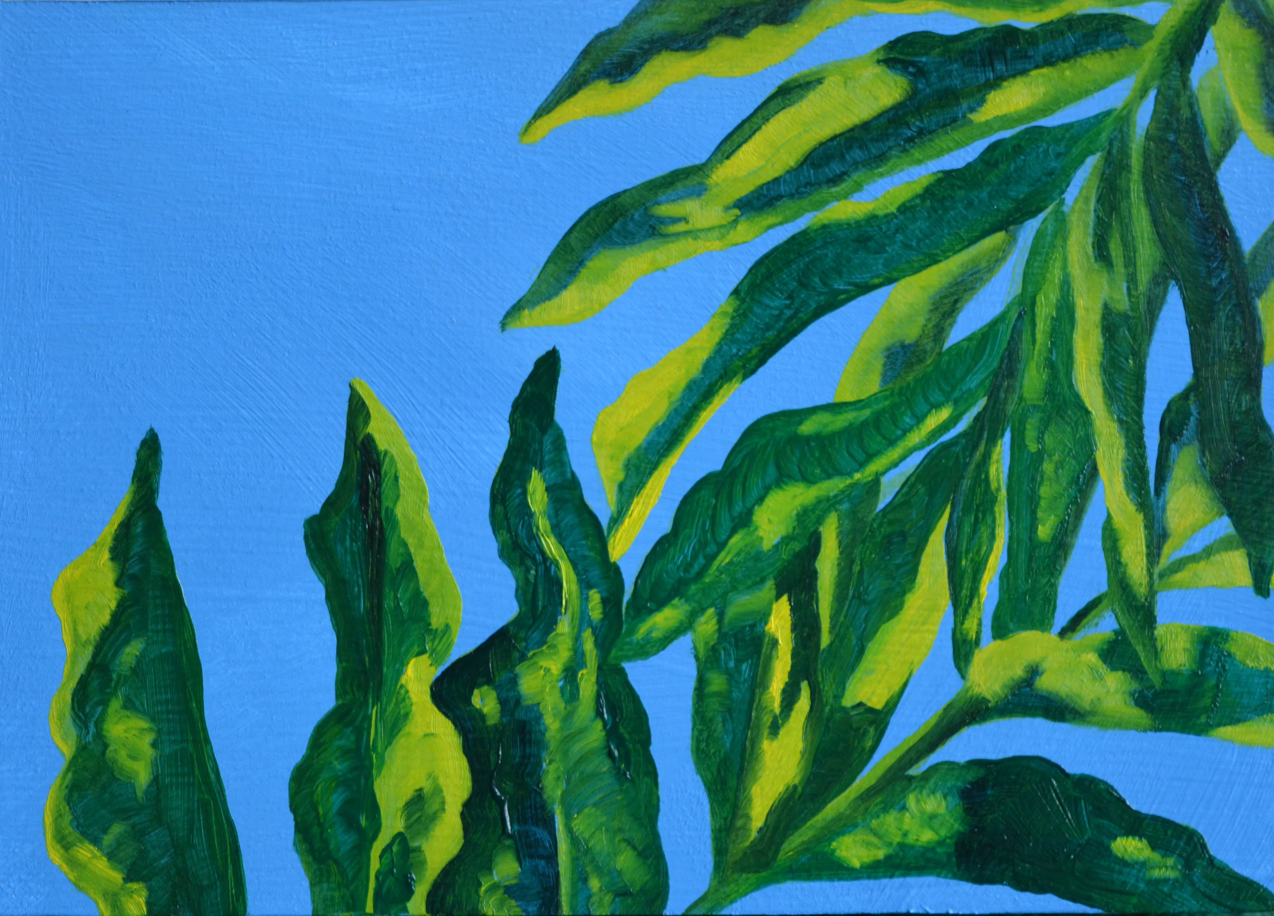 Palms 2