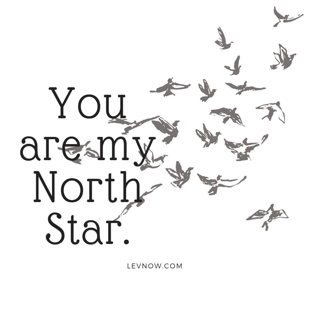 You are my North Star-Levnow.png