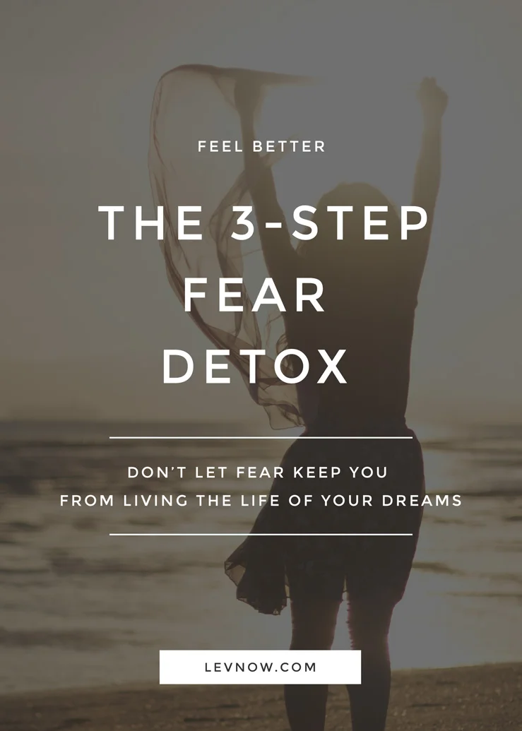 levnow-three-step-fear-detox.jpg