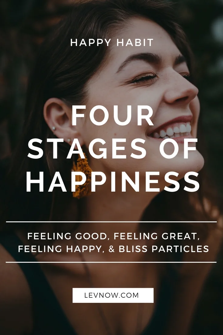 four-stages-of-happiness-levnow.jpg