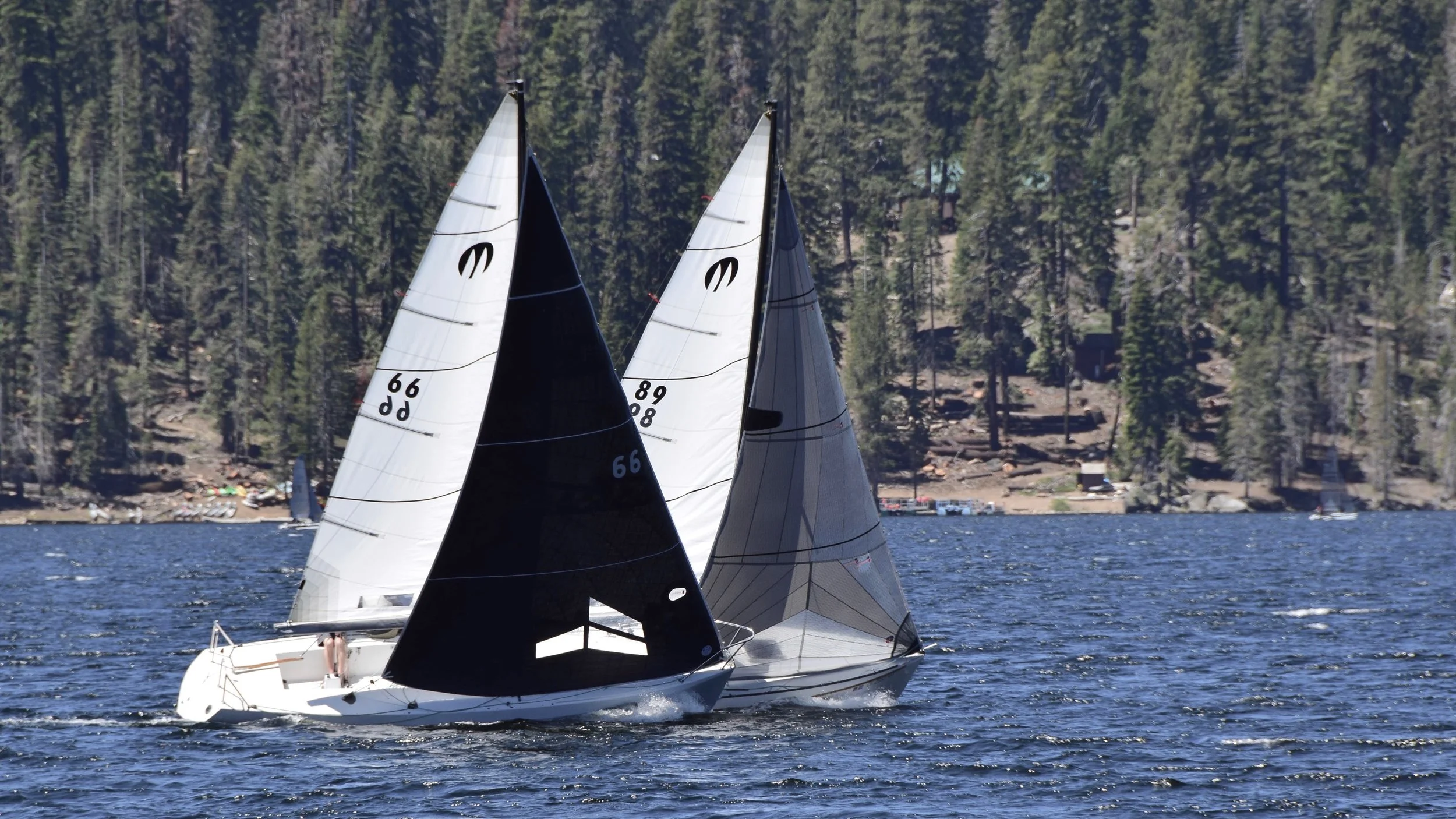 Mooretician & Immoral