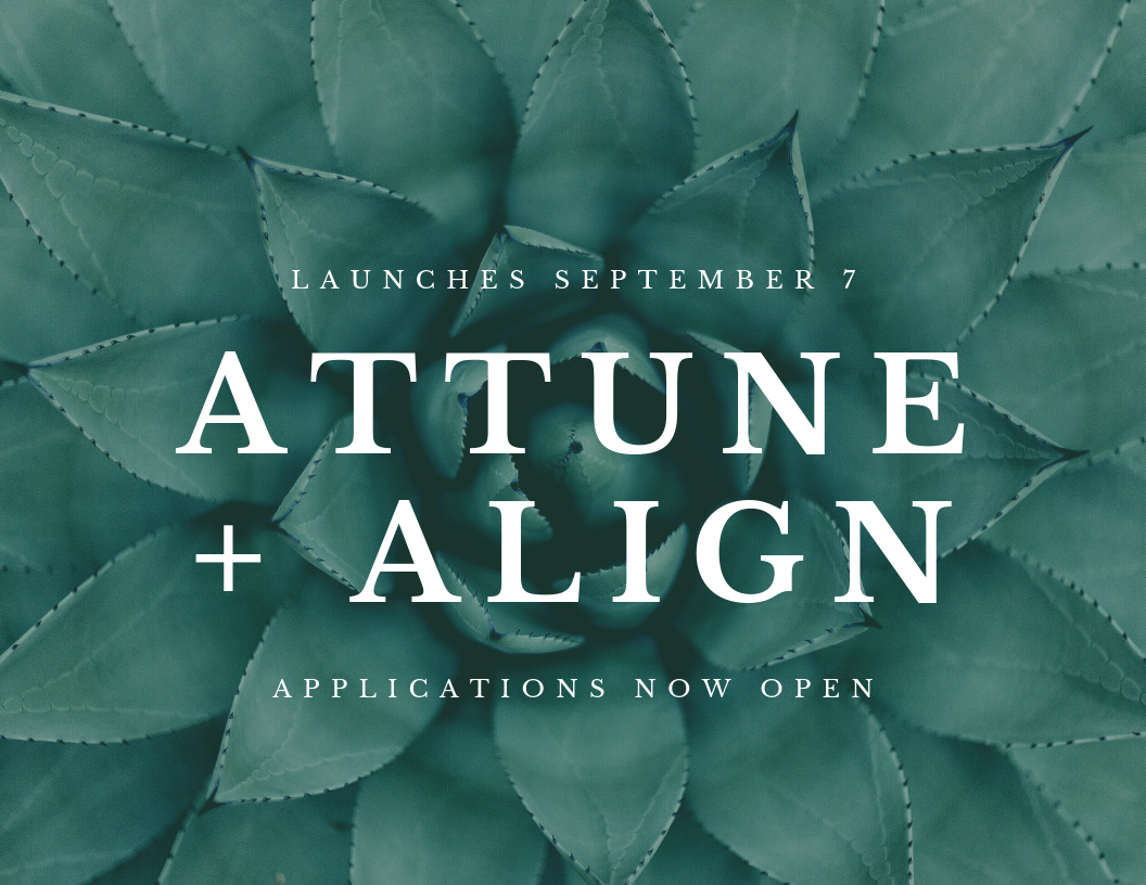 Attune + Align Mentorship with Marisa Lavalette