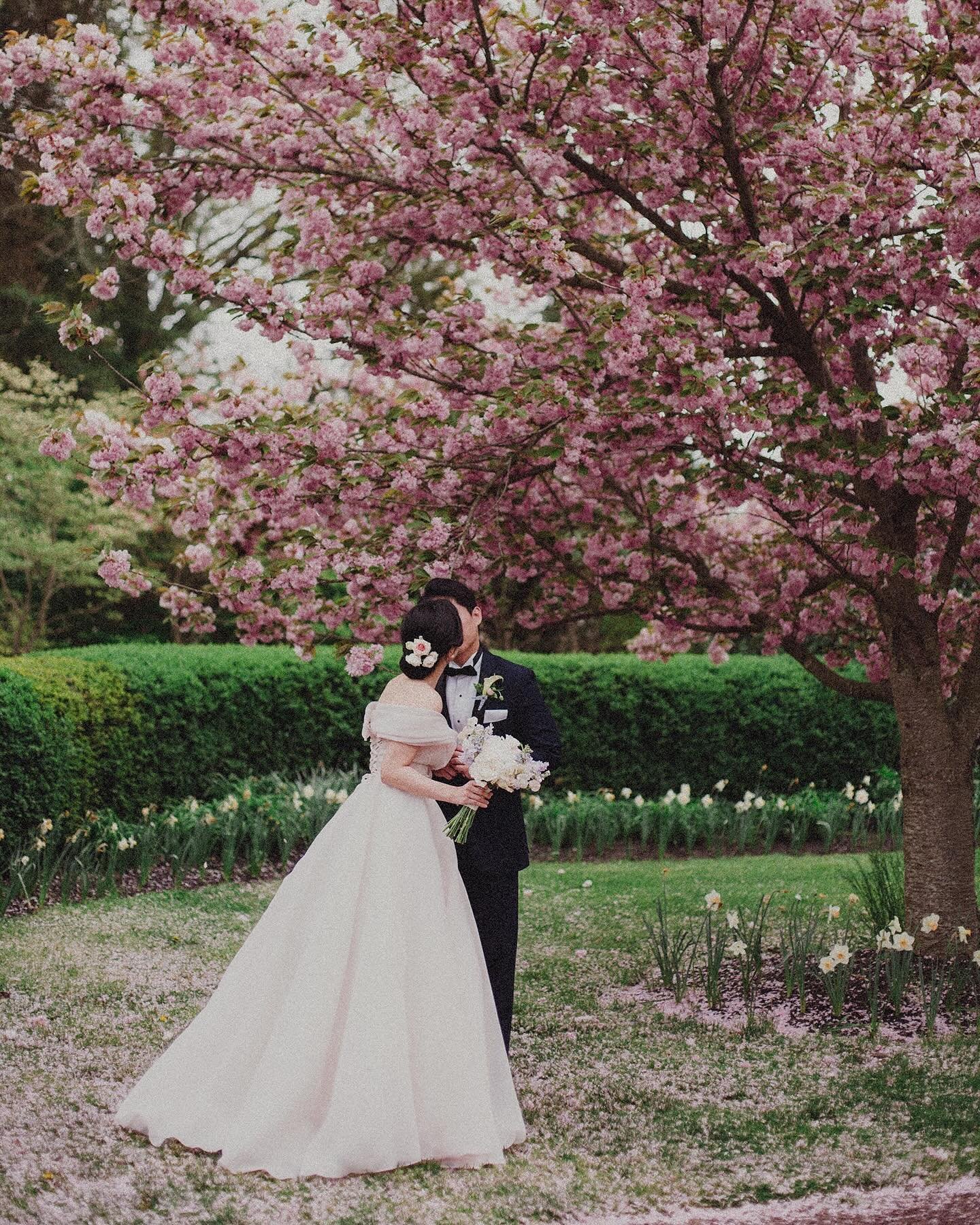 siheon &amp; girim wedding x fernbrook farm nj
#fernbrookfarm #springwedding #farmwedding #cottagewedding #koreanwedding #filmwedding