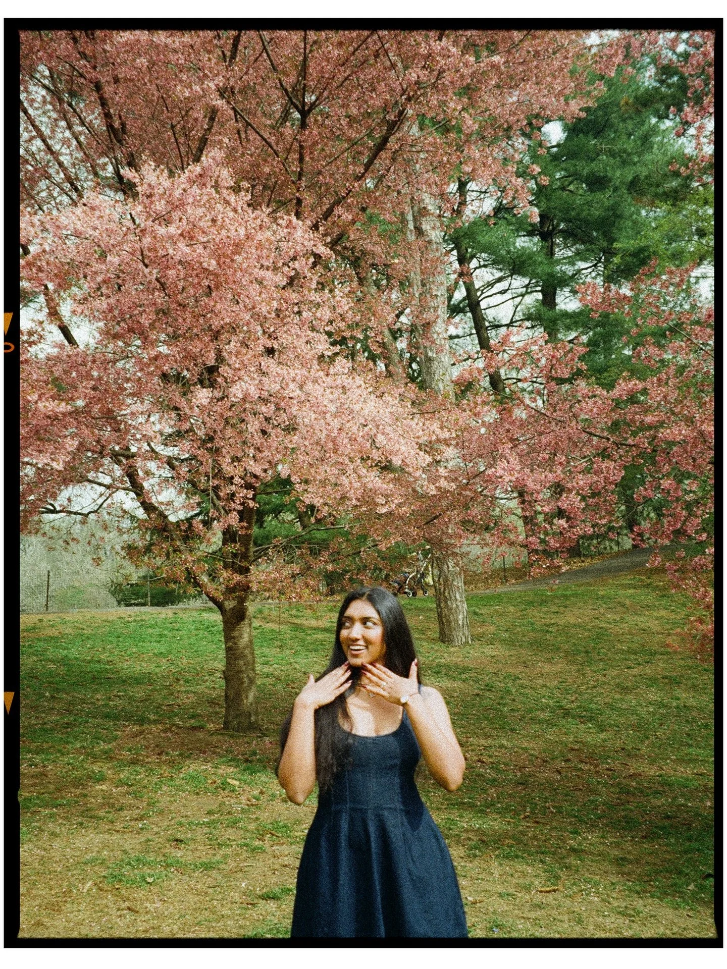 film snaps spring mix

#nycstreetphotography #filmphotographer #springersofinstagram