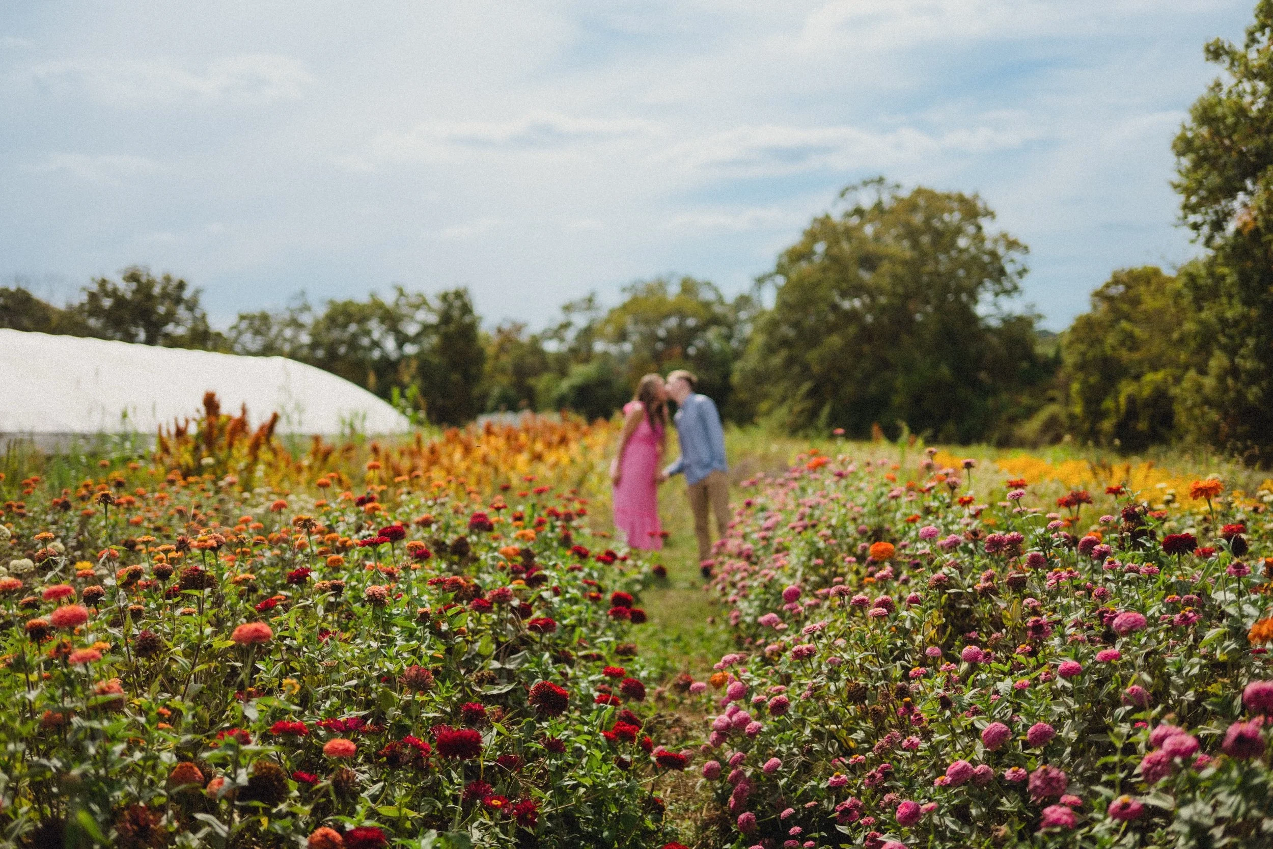 couple snap by the flower field 

#nycweddingphotographer #nycengagementphotographer #nycelopementphotographer