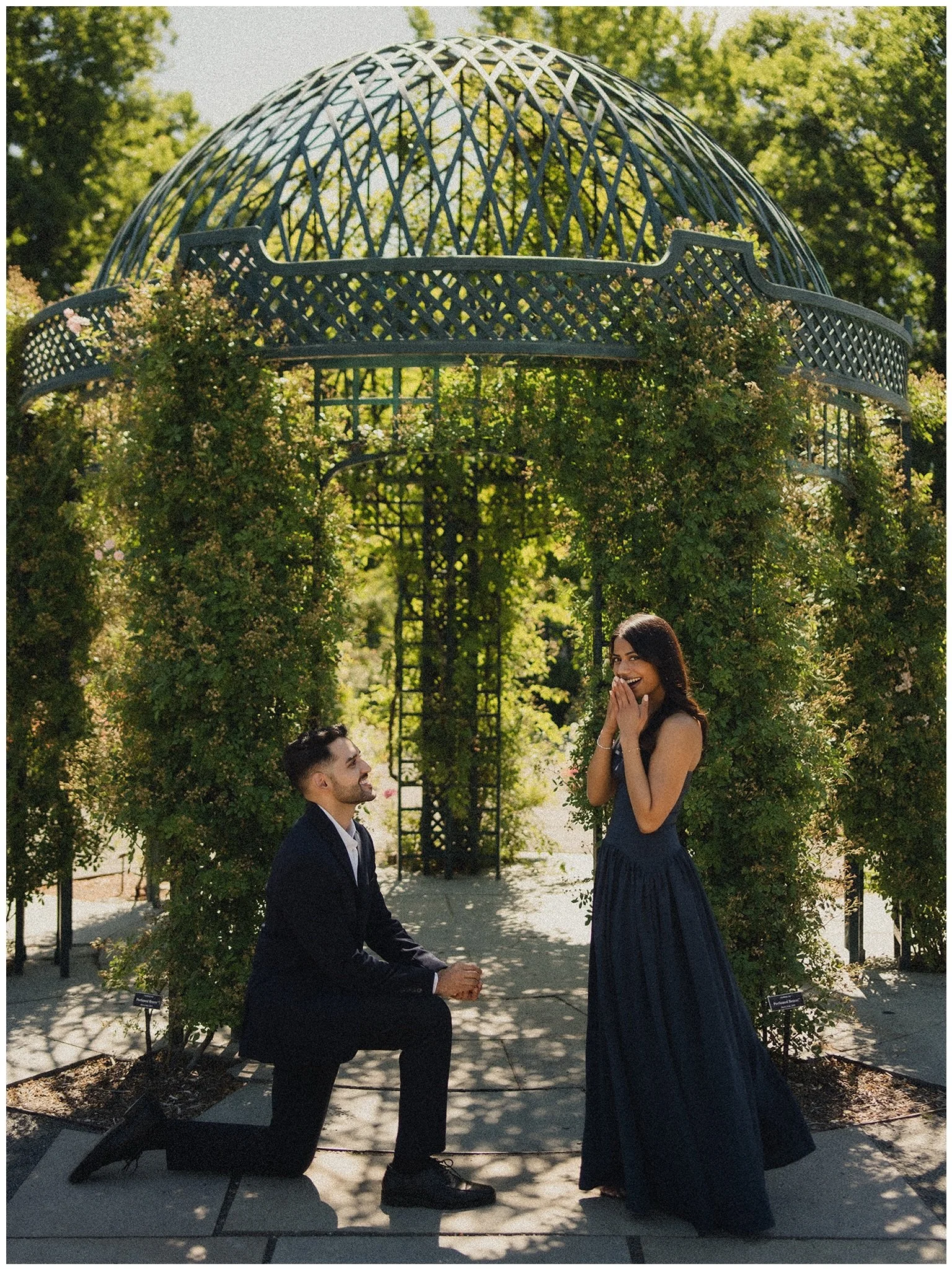 Neha &amp; Ajay engagment NYBG part I

#nycengagementphotographer #nycelopementphotographer #nycweddingphotographer