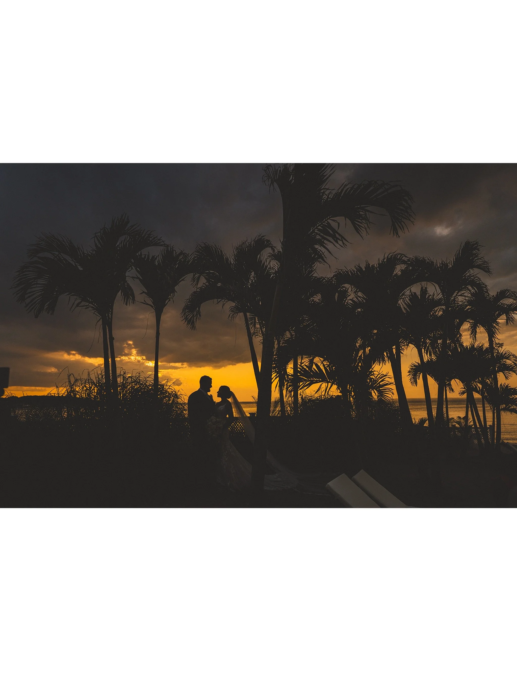 wedding snap framed by palms and the perfect golden hour glow

#nycweddingphotographer #nycengagementphotographer #nycelopementphotographer