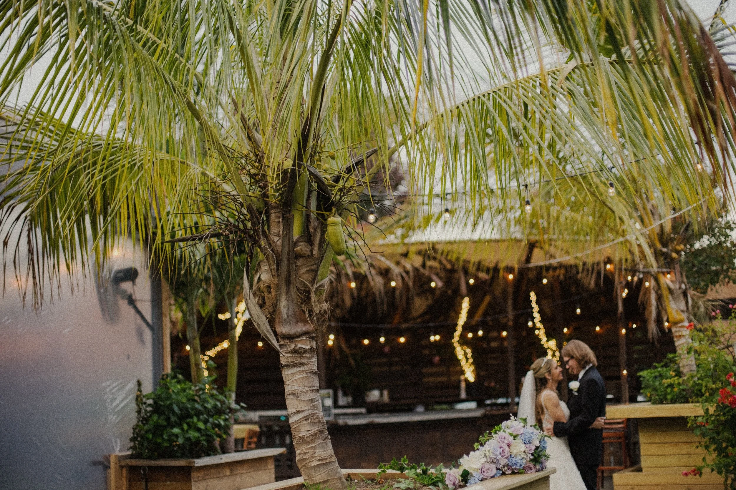 hanging out by the palm tree 

#nycweddingphotographer #nycelopementphotographer #nycengagementphotographer