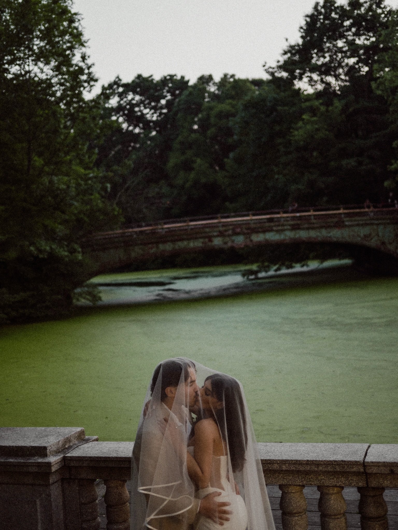 silence under the veil

#nycweddingphotographer #nycelopementphotographer #brooklynweddingphotographer