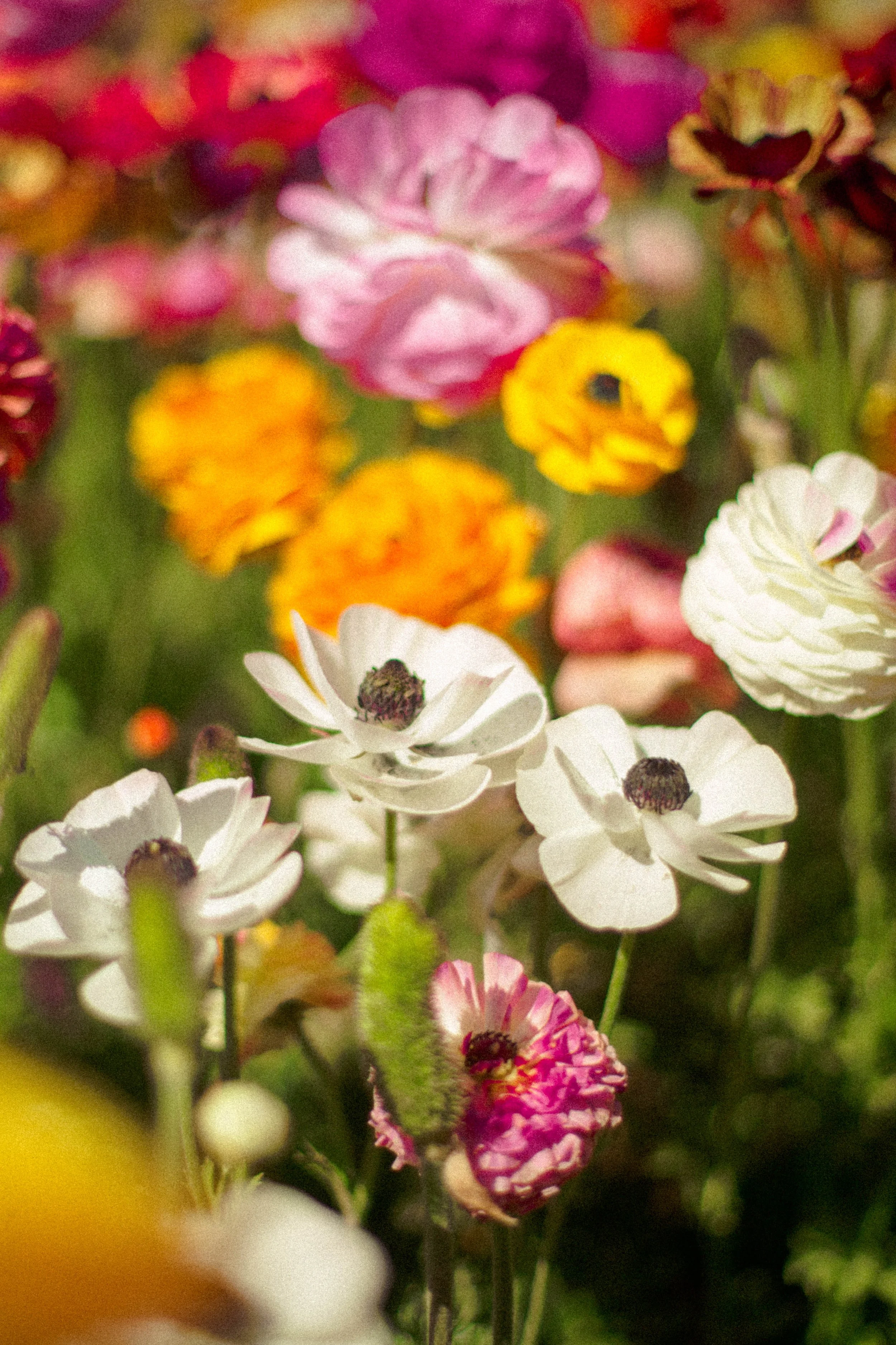 4 SPRING EXPERIENCES YOU'LL LOVE