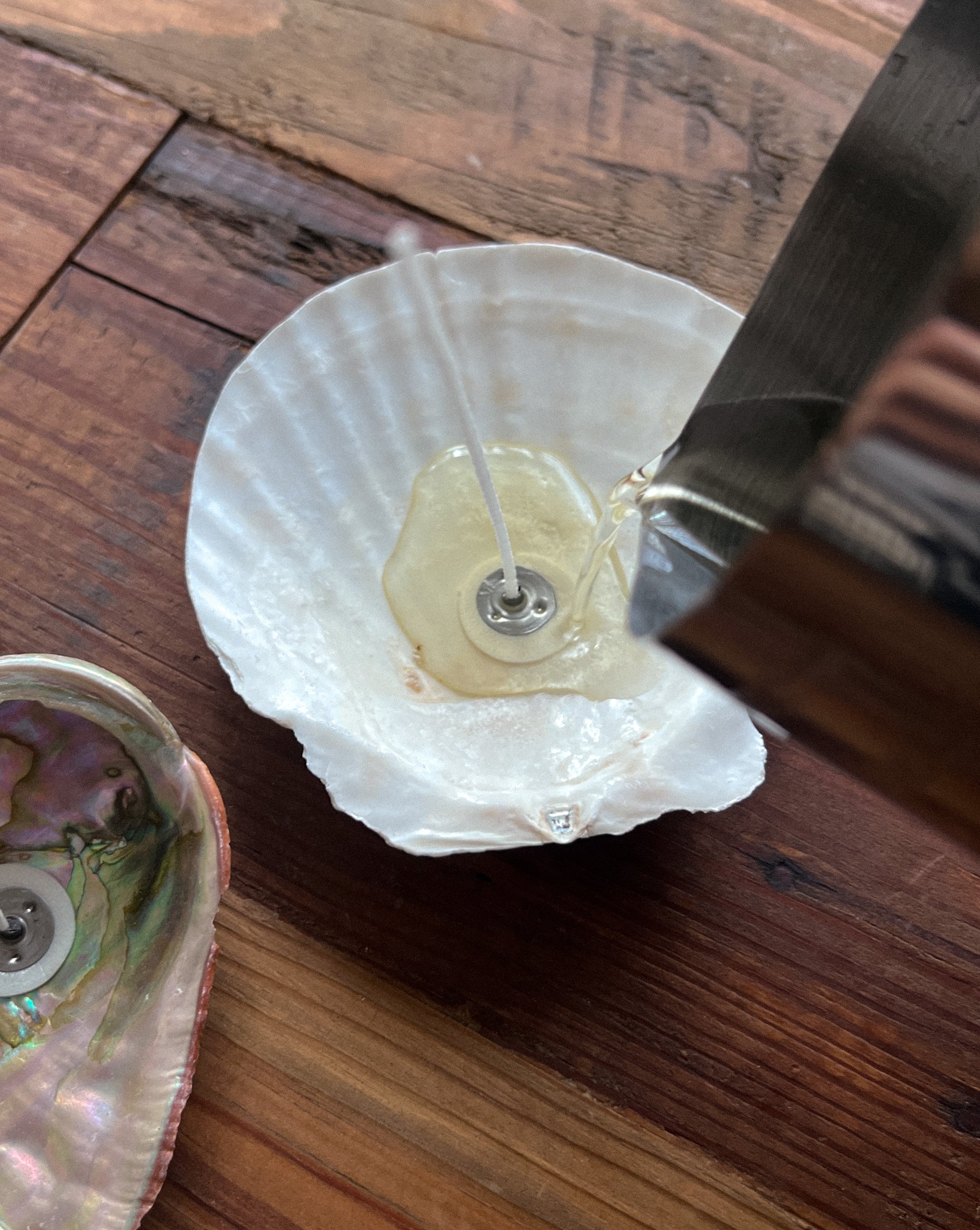 DIY shell candle.JPG