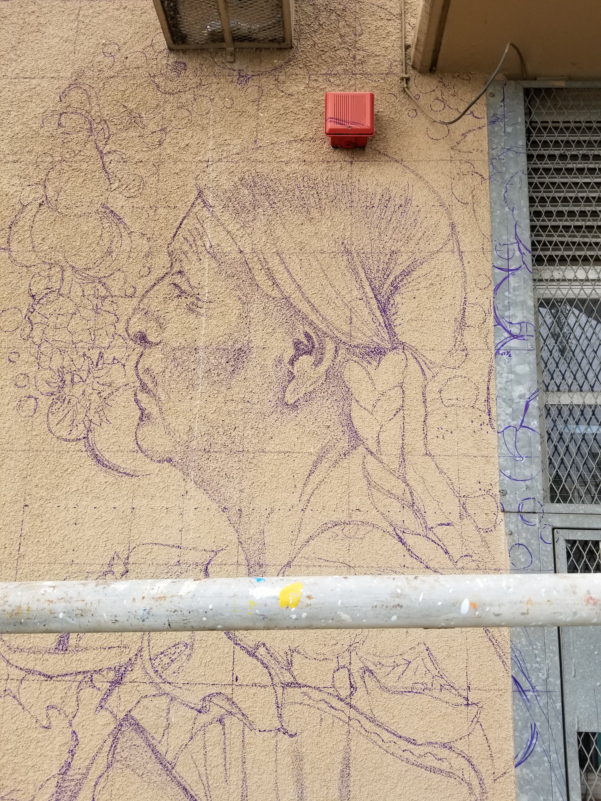 20180502_154848.jpg