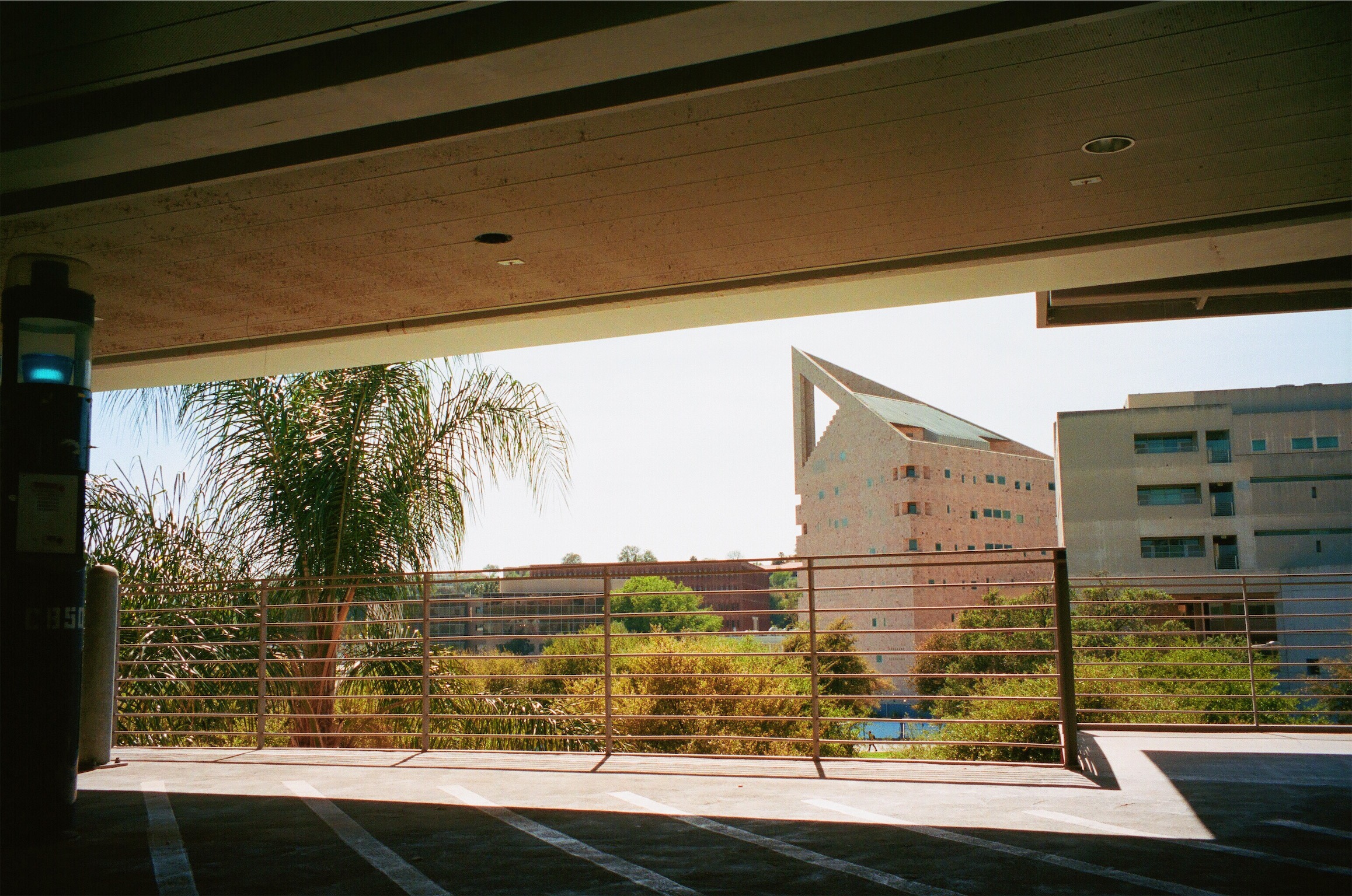 photo.jpg
