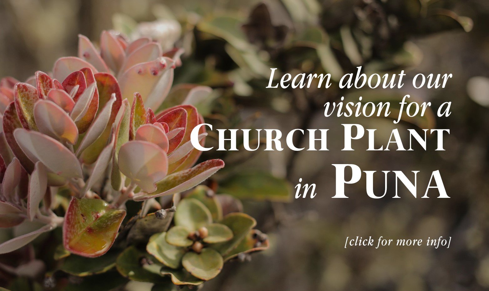 Our future church-plant in Puna.jpg