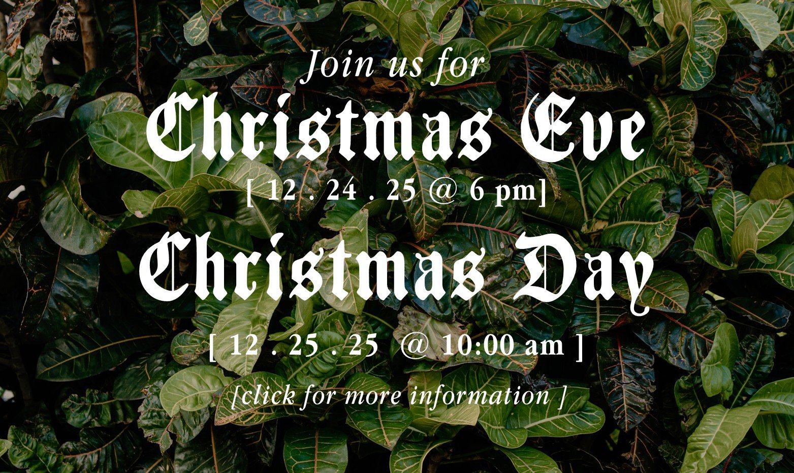 Christmas Events 25.jpg