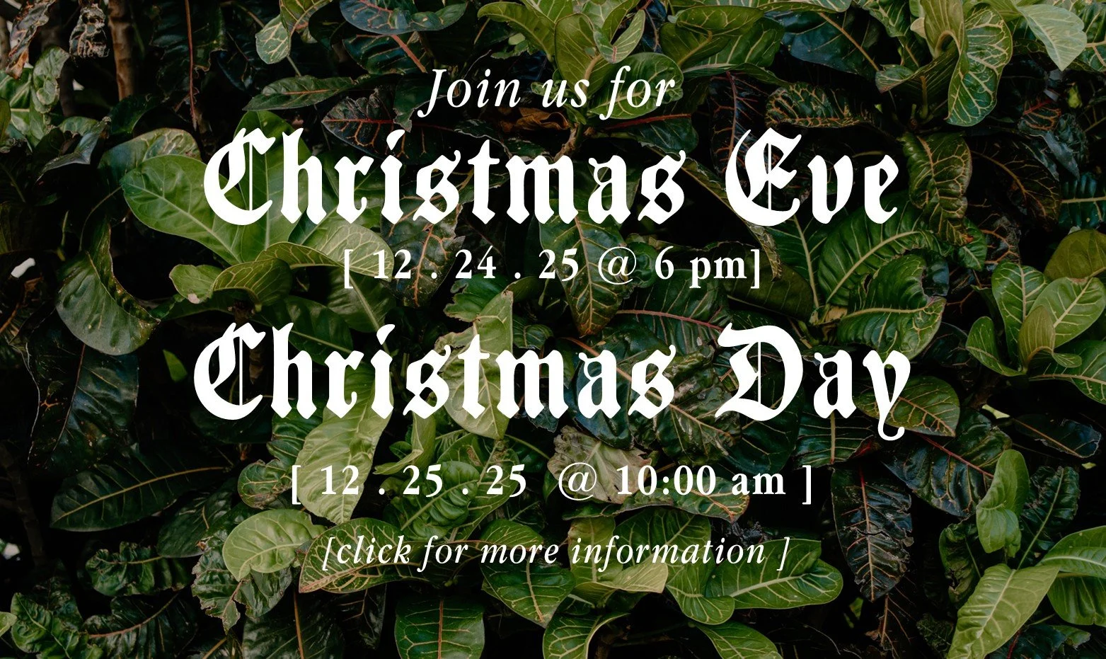 Christmas Events 25.jpg