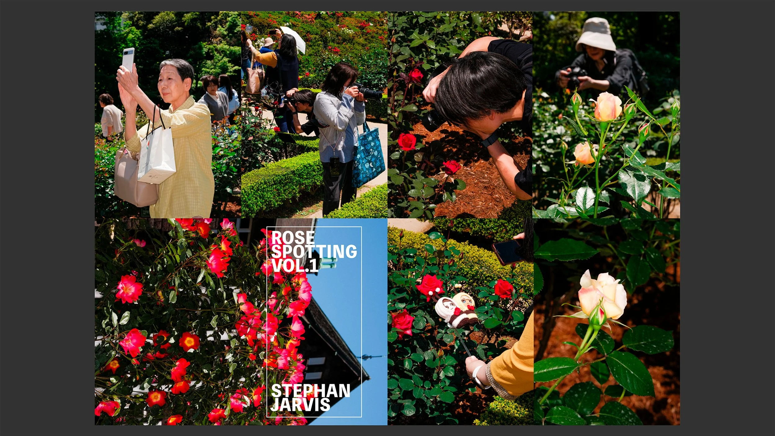 Rose-Spotting-Vol.1-screenshot-1.jpg