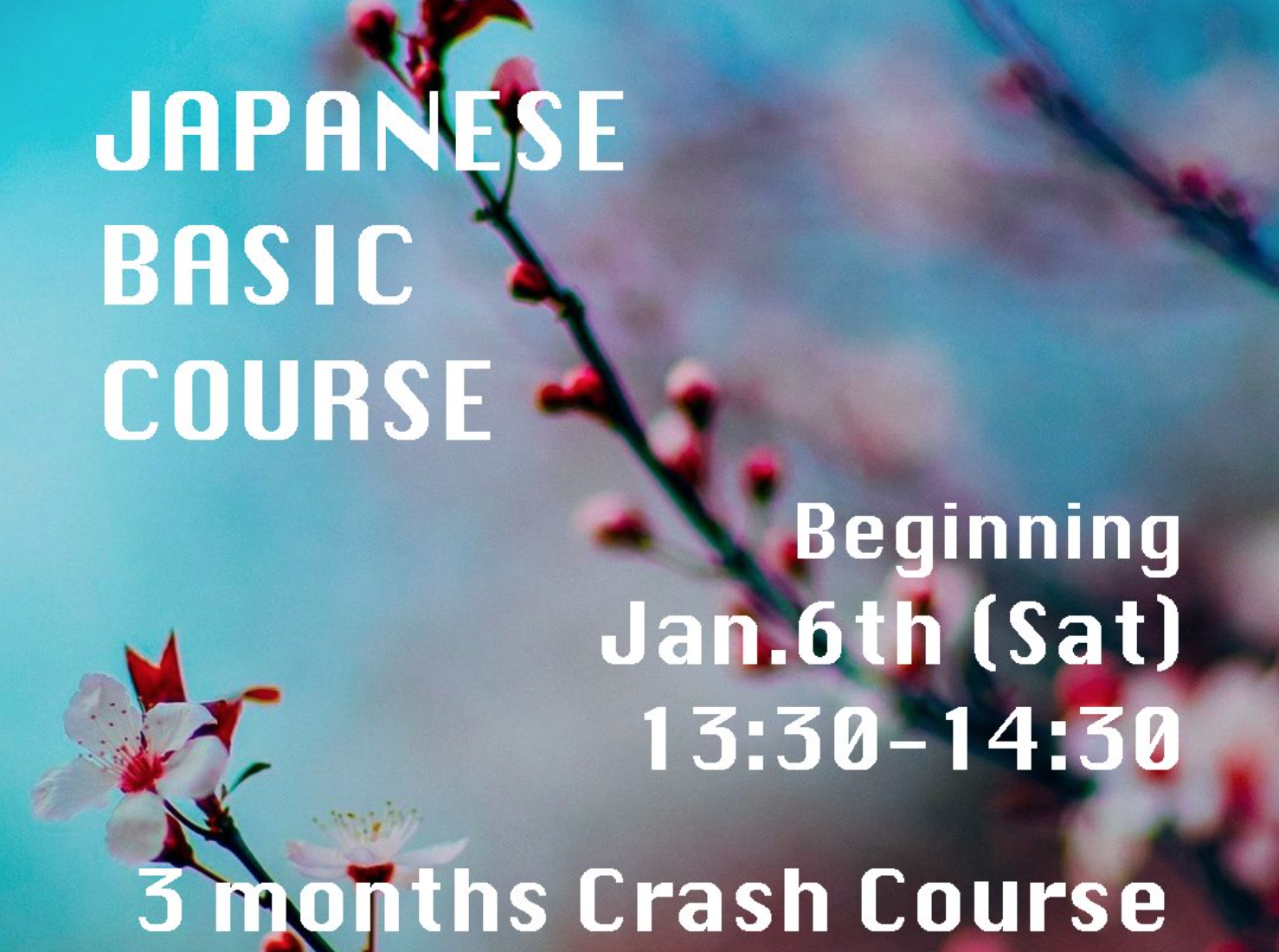 Japanese Basic Course