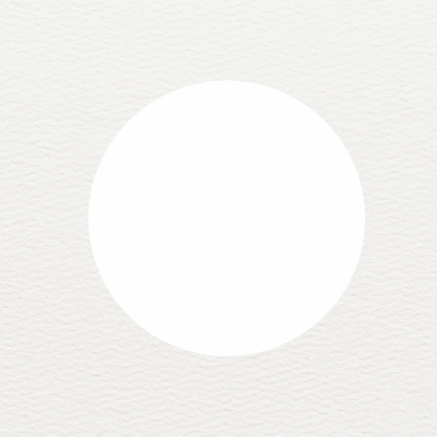 卒業生にインタビュー