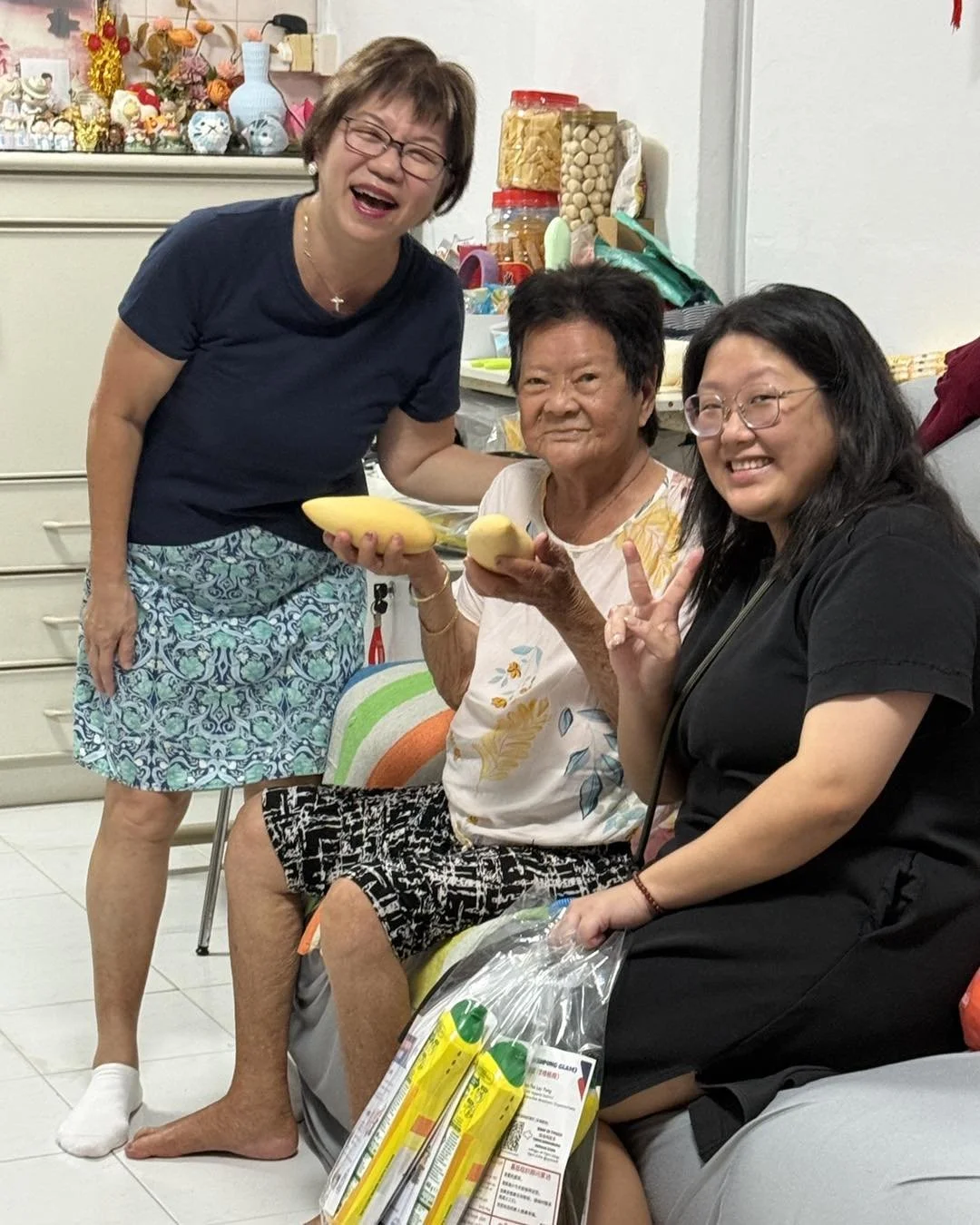 House Visits - 2.jpg