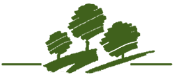burnham-logo-green 2.png