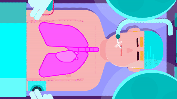 transplantatie2.gif
