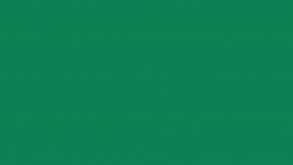 1337cc63202807.5aa9193424fc8.gif