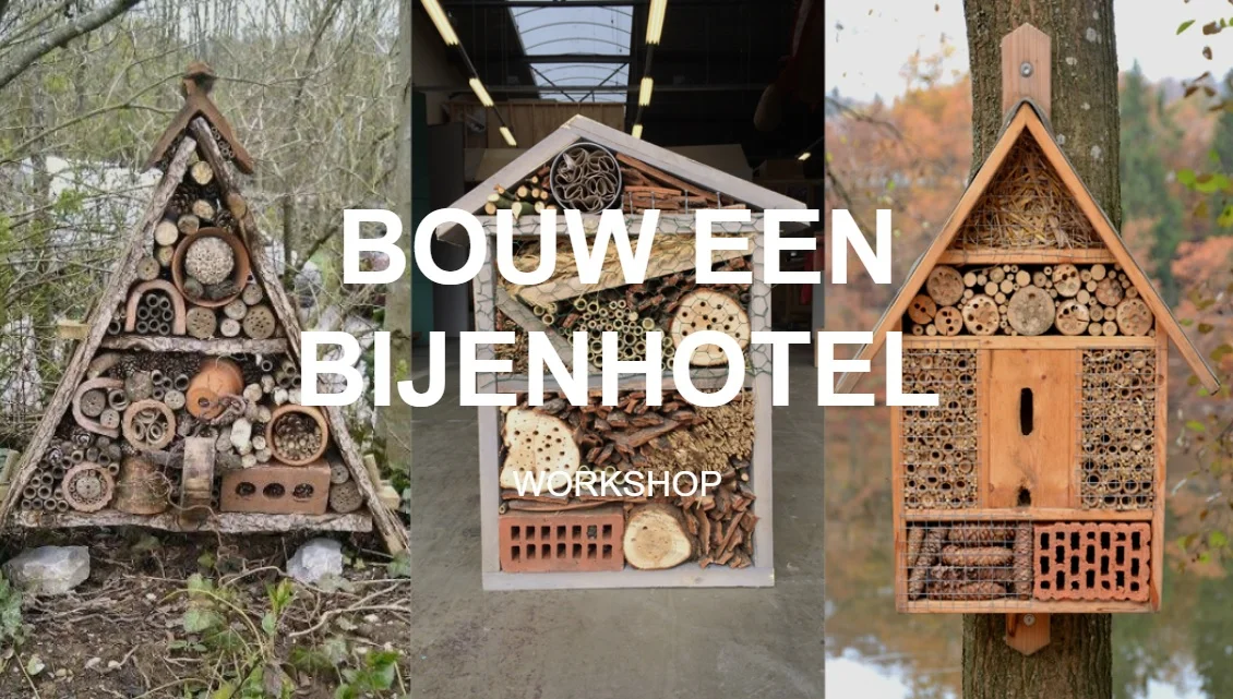 Bijenhotel.jpg