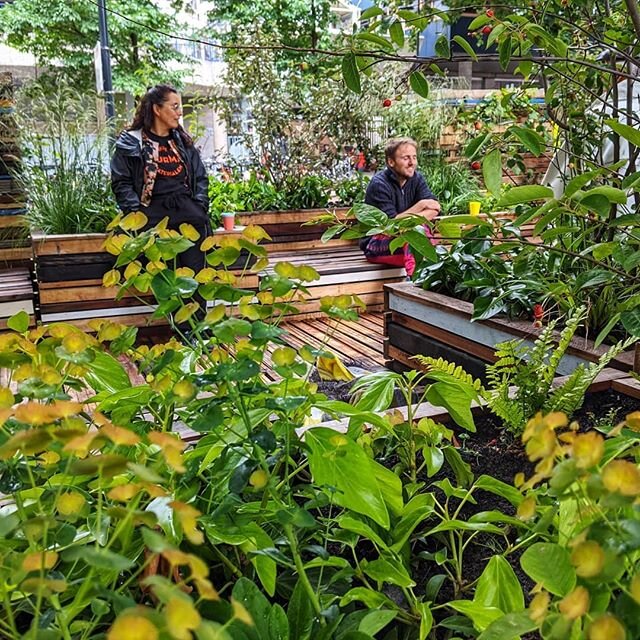 Een groene oase in de stad! In opdracht van Green Business Club Utrecht en in samenwerking met Donkergroen gaven wij gebruikt hout een tweede leven. Komt dat zien, in het Moreelse Park! 
#buurmanutrecht #moreelsepark #diy #hout #woodworking #utrecht 