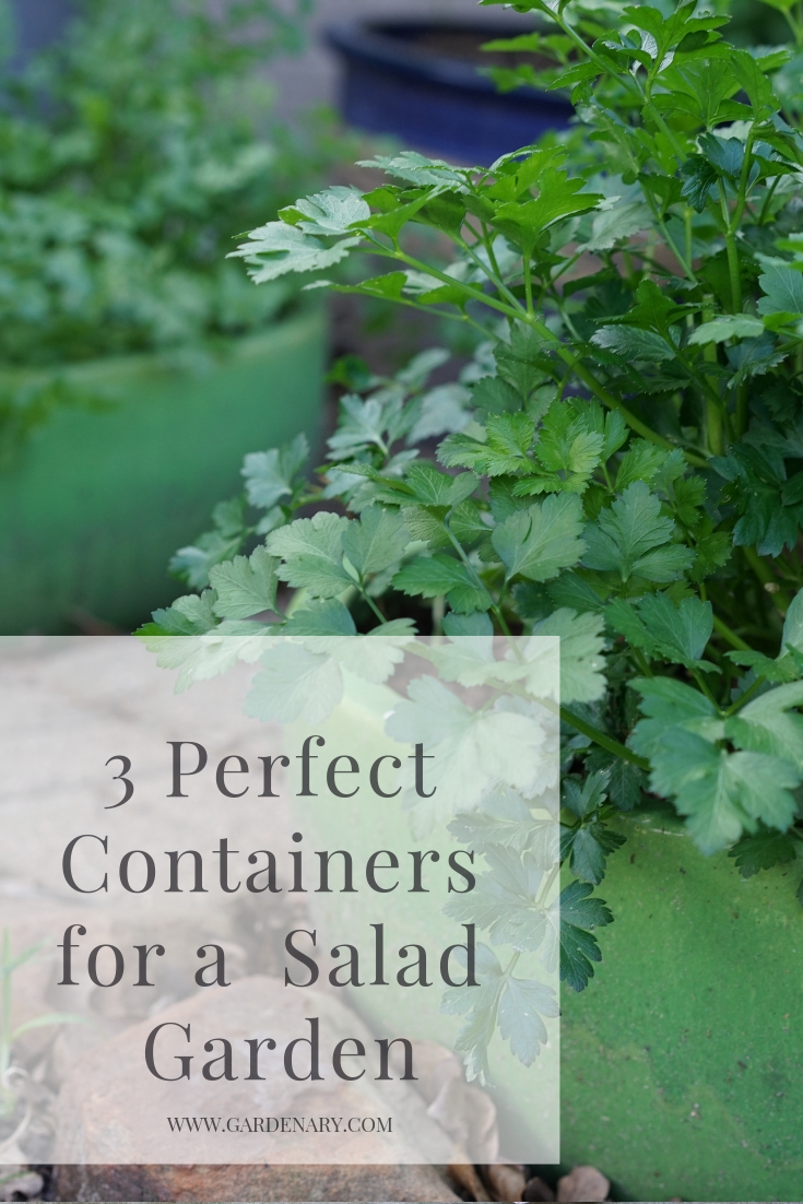 www.gardenary.com.jpg