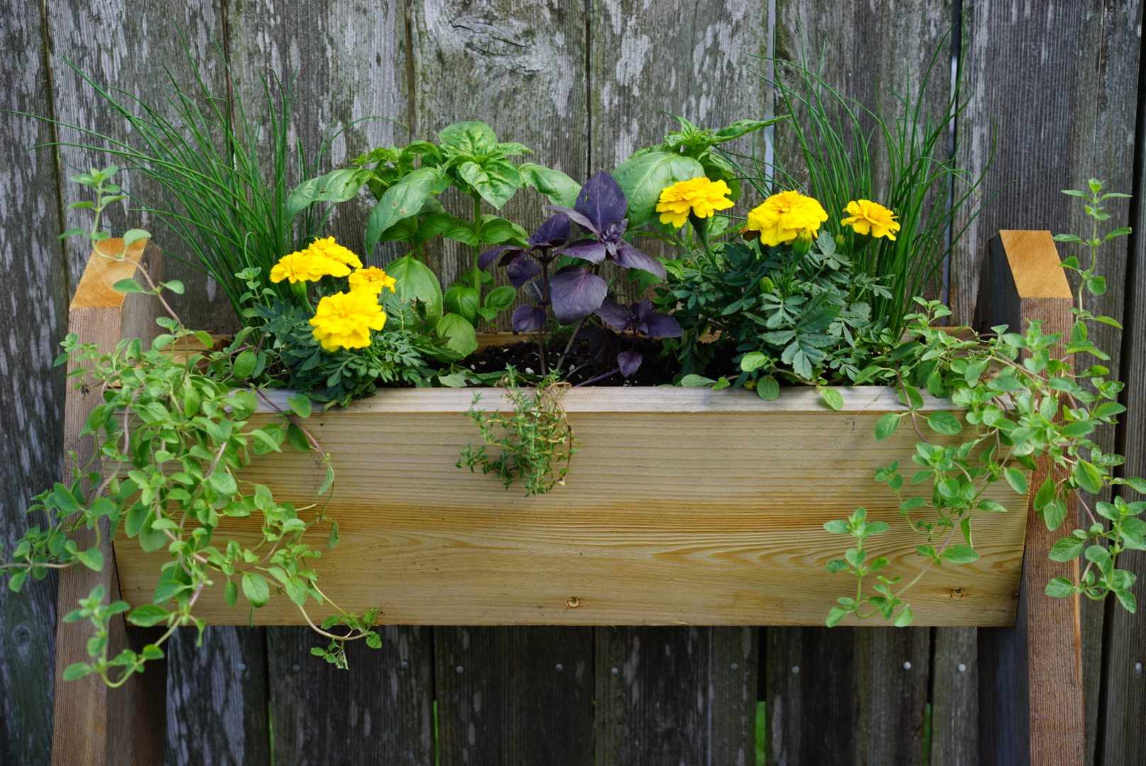cedar container.jpg